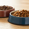 What's Better for Dogs: Wet or Dry Food?