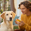 What to Feed a Diabetic Dog to Gain Weight: A Comprehensive Guide