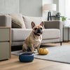 What Treats Are Good for Puppies? A Comprehensive Guide