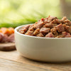 Wholesome Homemade Dog Food with Pork: A Balanced Recipe for Your Furry Friend