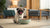 Why Does My Dog Bury His Treats? Understanding This Fascinating Behavior