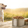Why Is Canned Dog Food So Expensive? Understanding the Price Tag on Your Pup’s Dinner