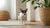 Why Is Kibble Good for Dogs? Understanding the Benefits of Dry Dog Food