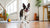 Why Is There Garlic Powder in Dog Treats?