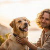 Why Isn’t My Dog Gaining Weight? Understanding and Addressing Your Dog's Weight Concerns