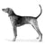 American English Coonhounds-140325978351