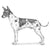 American Hairless Terriers-140323815663