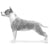 American Staffordshire Terriers-140321849583