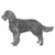 Spaniels (American Water)-140328272111