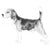 Beagles-140318671087