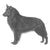Belgian Sheepdogs-140323258607