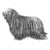 Bergamasco Sheepdogs-140325552367