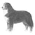 Bernese Mountain Dogs-140319457519