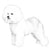 Bichons Frises-140320375023