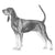 Black and Tan Coonhounds-140323750127