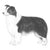 Border Collies-140319817967