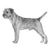 Border Terriers-140322504943