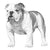 Bulldogs-140318605551
