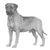 Bullmastiffs-140320768239