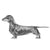 Dachshunds-140318769391