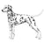 Dalmatians-140320604399