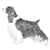 Spaniels (English Springer)-140327715055
