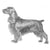 Spaniels (Field)-140328337647