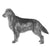 Retrievers (Flat-Coated)-140328009967