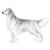 Retrievers (Golden)-140327649519