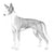 Ibizan Hounds-140325486831