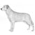 Retrievers (Labrador)-140327583983