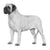 Mastiffs-140319850735