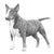 Miniature Bull Terriers-140322832623