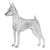 Miniature Pinschers-140321587439