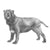 Neapolitan Mastiffs-140322603247