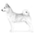 Norwegian Buhunds-140325322991