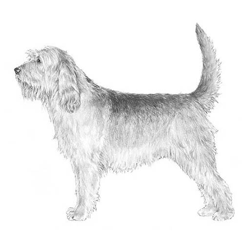 Otterhounds-140325683439