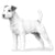 Parson Russell Terriers-140323193071