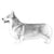 Pembroke Welsh Corgis-140318834927