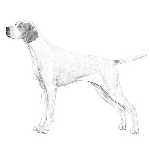 Pointers-140323225839