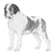 St. Bernards-140320669935