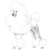 Poodles-140318638319