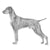 Vizslas-140319949039