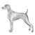 Weimaraners-140320112879