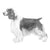 Spaniels (Welsh Springer)-140328206575