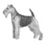 Welsh Terriers-140323094767