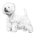 West Highland White Terriers-140320342255