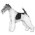 Fox Terriers (Wire)-140328042735