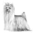 Yorkshire Terriers-140318965999