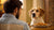 A Complete Guide to Teaching Your Dog Not to Steal Your Food